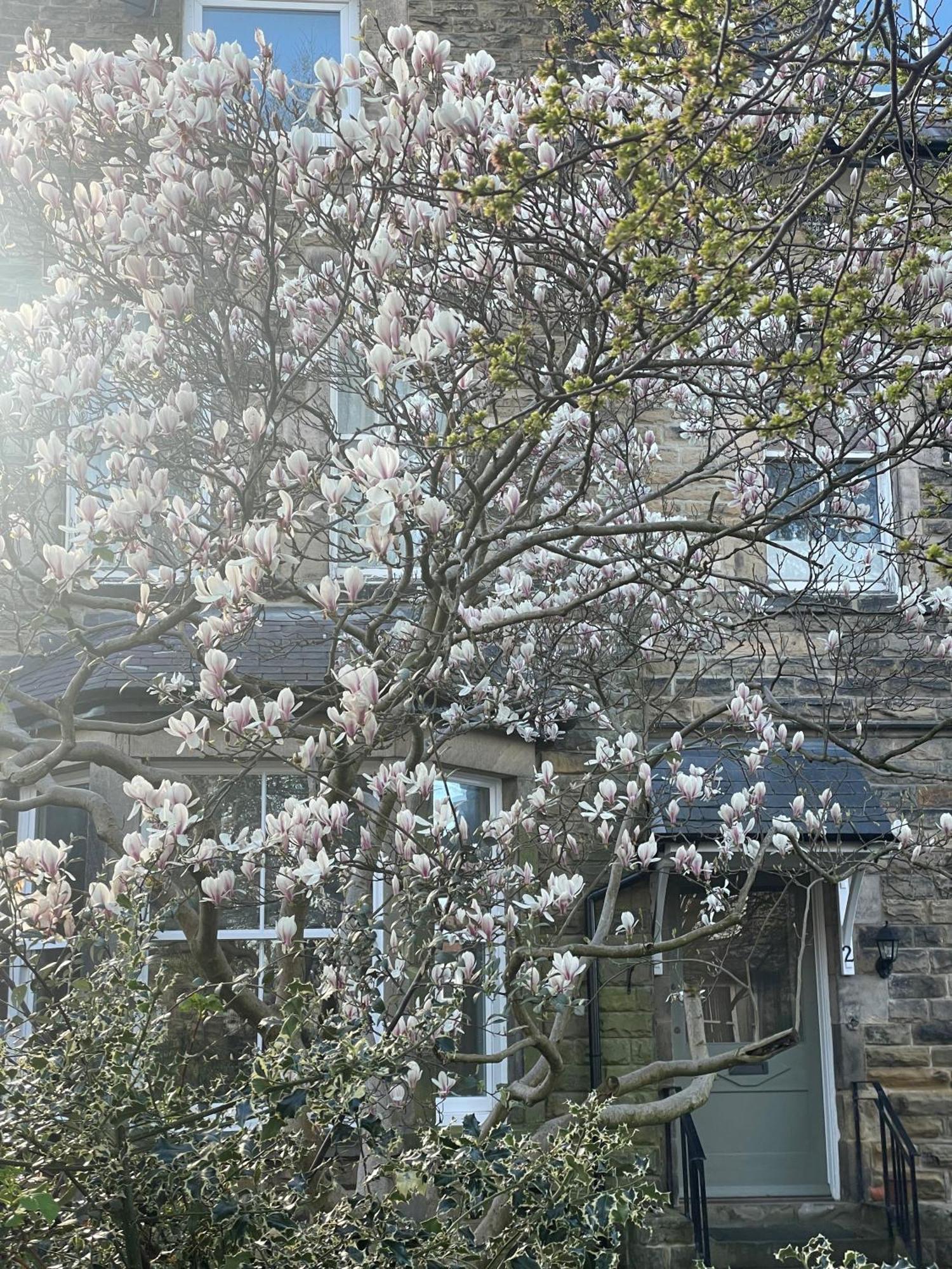 Pheasant's Hollow Apartment *